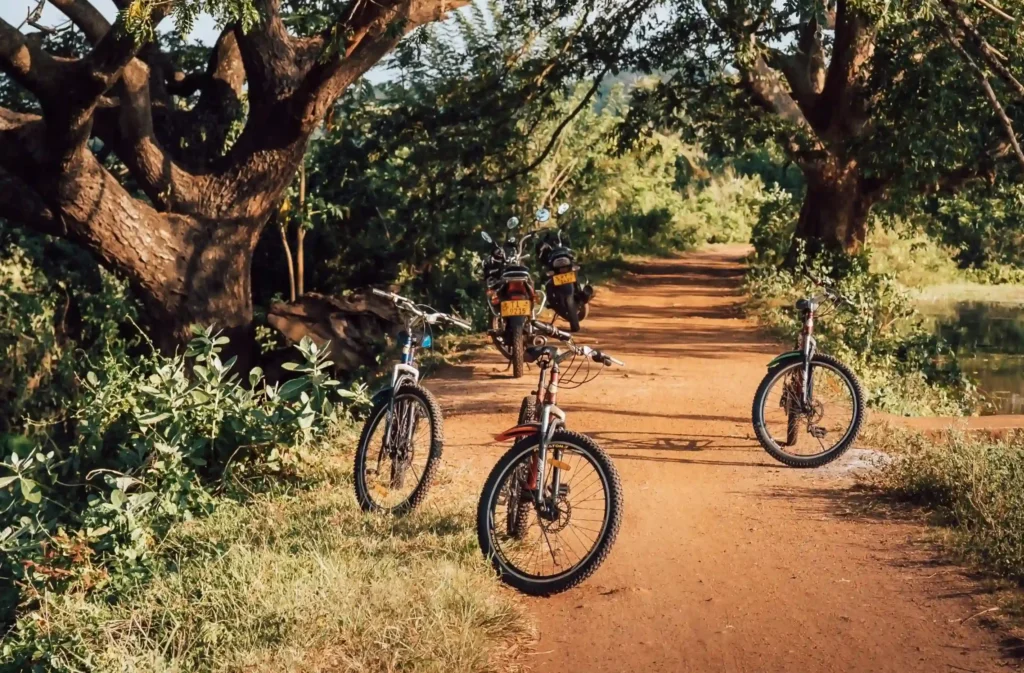 Nature-focused cycling experiences Cycling with stunning views Lodge-based bike tours in Arangala Bicycle rides for wildlife enthusiasts Peaceful cycling getaways